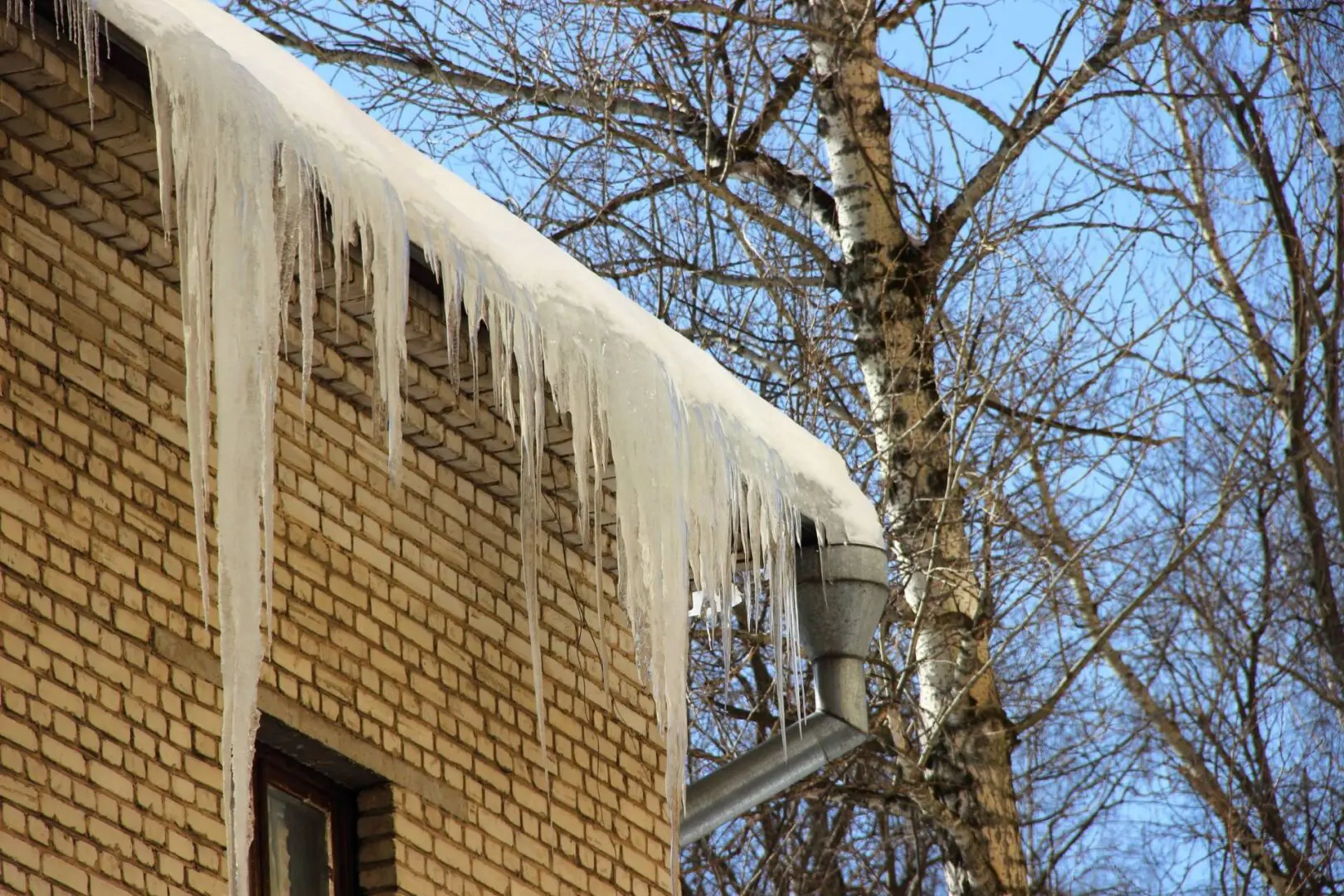 Icicles hanging from a snow-covered roof of a brick building, with a bare tree and blue sky in the background.